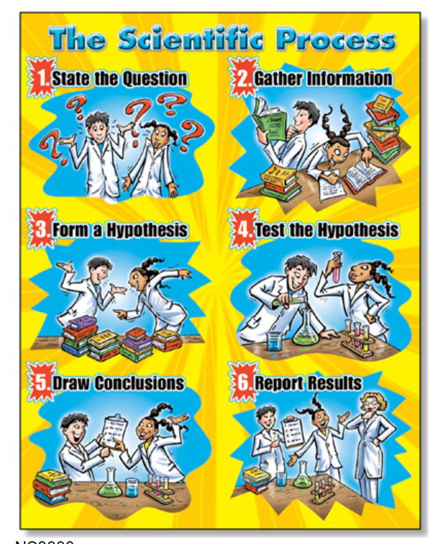 the-scientific-process-quick-study-poster-bell-2-bell